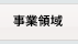 事業領域