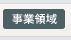 事業領域