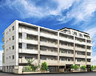 サンメゾン藤崎 ELDO