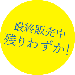 最終販売中　残りわずか！
