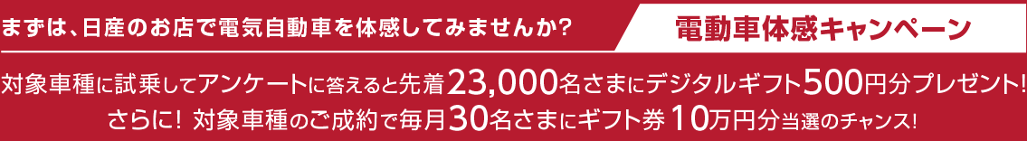 電動車体感キャンペーン