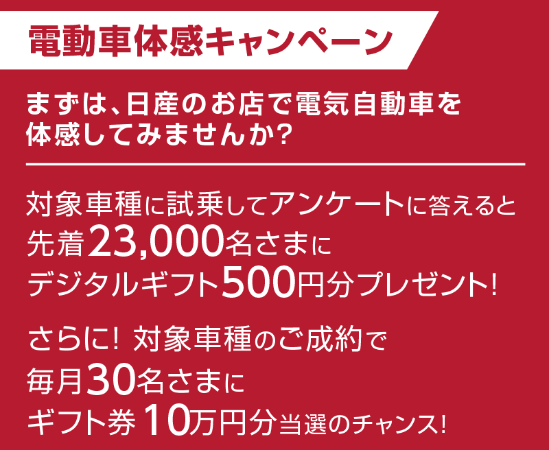 電動車体感キャンペーン