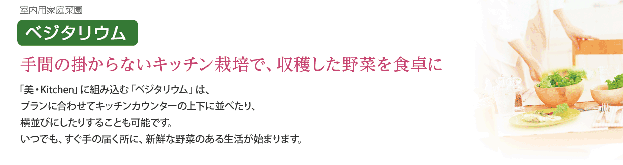 「べジタリウム」手間のかからないキッチン栽培で、収穫した野菜を食卓に