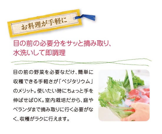 お料理が手軽に