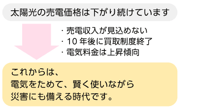 自家消費する時代の図