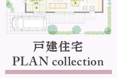 PLAN collection