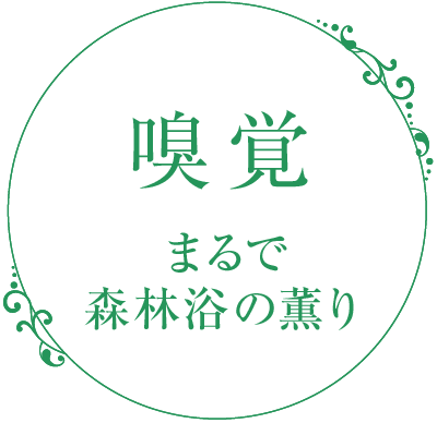 嗅覚　まるで森林浴の薫り