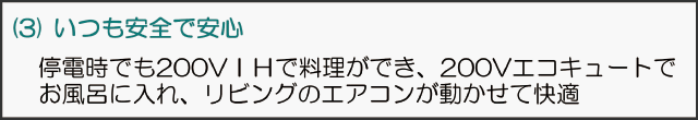 (3)いつも安全で安心