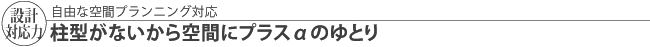 自由な空間プランニング対応　柱型がないから空間にプラスαのゆとり